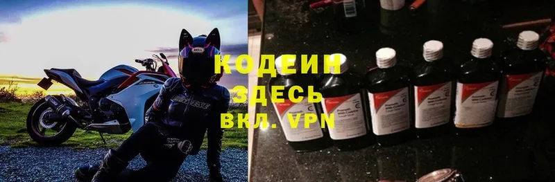 Кодеиновый сироп Lean Purple Drank  Луга 